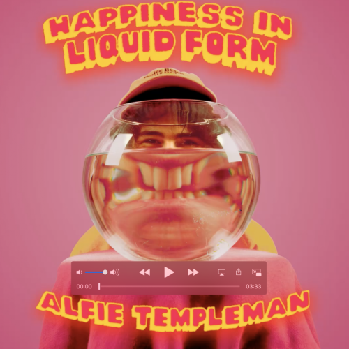 Alfie Templeman 'Happiness In Liquid Form' Lyric Video