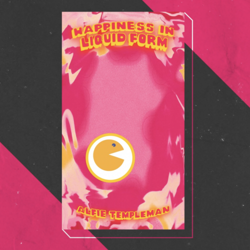 Alfie Templeman - Instagram Stories Game