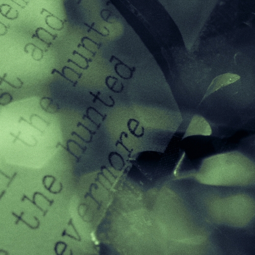 You Will Know The Lion By His Claw