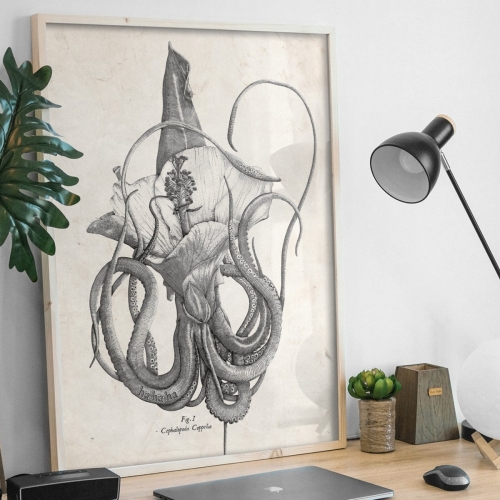 Giggling Squid Brand Evolution and Illustration