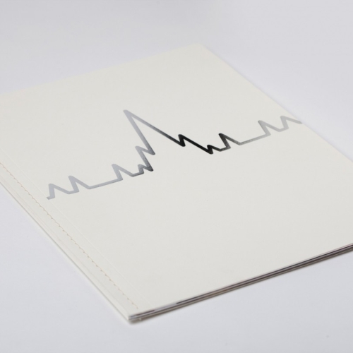 Fettes College fundraising brochure