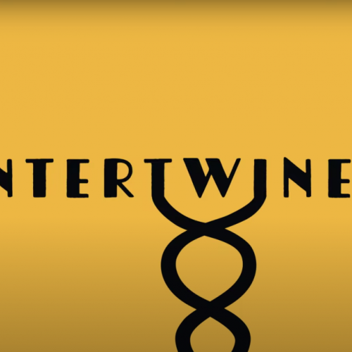 Eloise - Intertwined