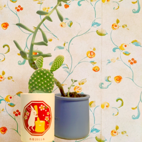 Stuff I have around the house.