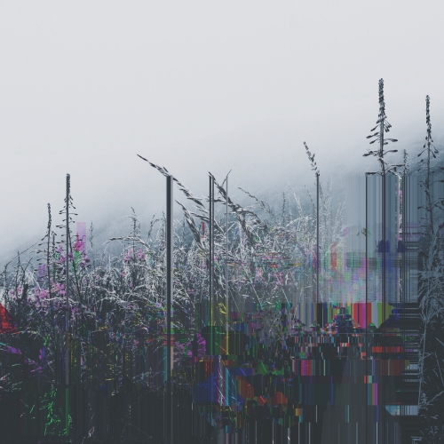 The Aesthetics of Imperfection - East Coast #2