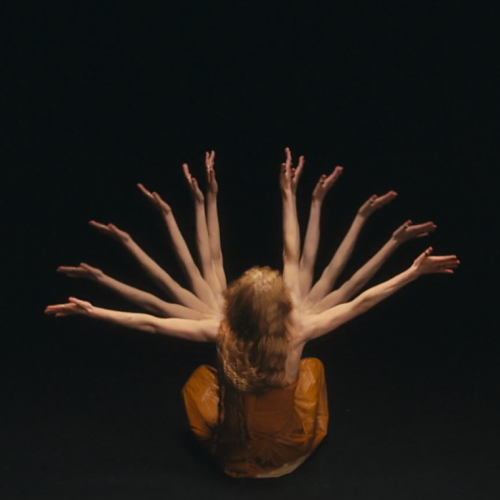 Polo | Visions of Fortune