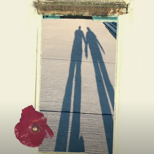 Paul McCartney - Great Day (Fan Video)