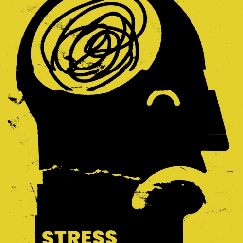 Various Illustration