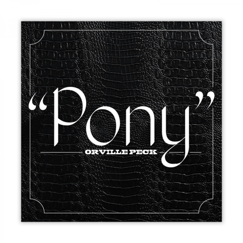 "Pony" — Album Concept Design