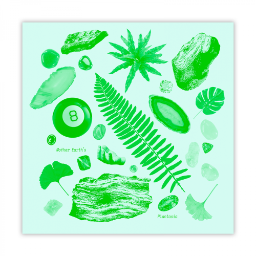 "Plantasia" — Album Concept Design