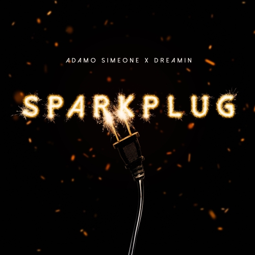 SPARKPLUG