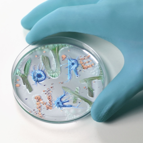 Typographic Bacteria