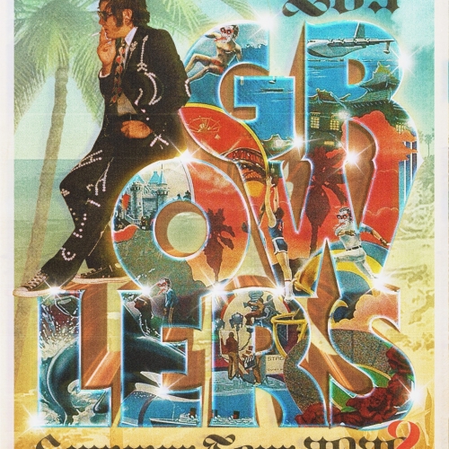 The Growlers Tour Poster 2020