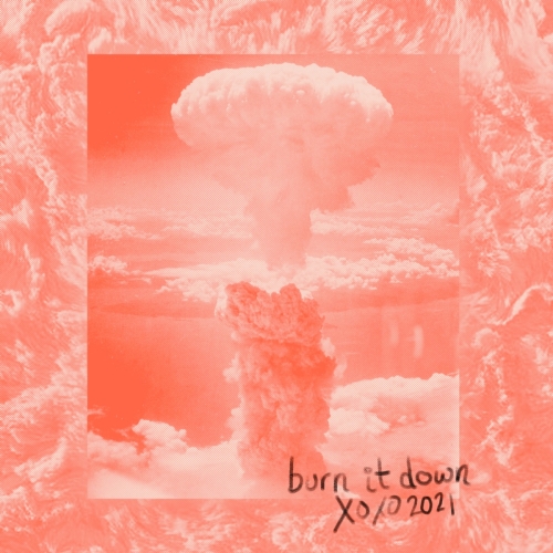 Burn it Down - Single