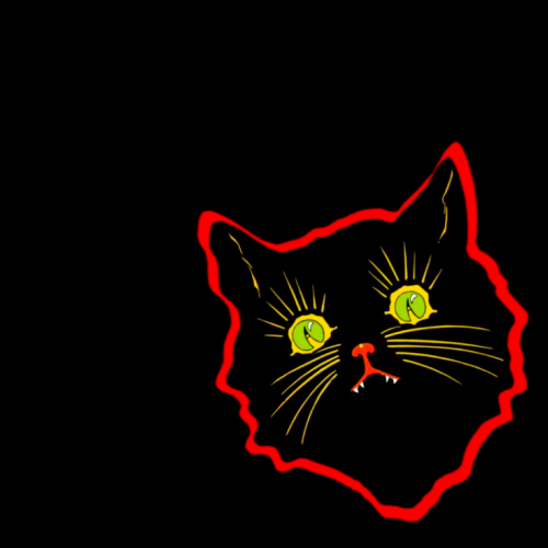 Black Cat– Happy Halloween