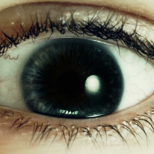 Prospa - Bloodshot (Official Visualiser)