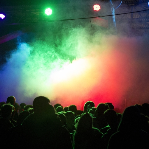 Atmospheric crowd shot at Somerley Tea Party's woodland stage