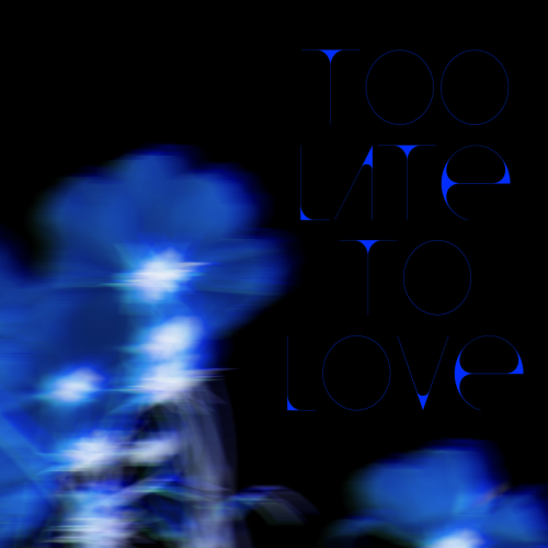 Too Late To Love artwork