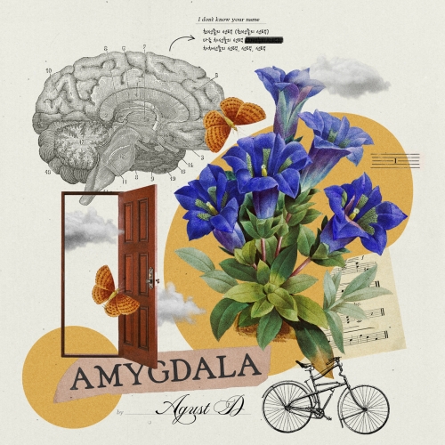Amygdala by Agust D