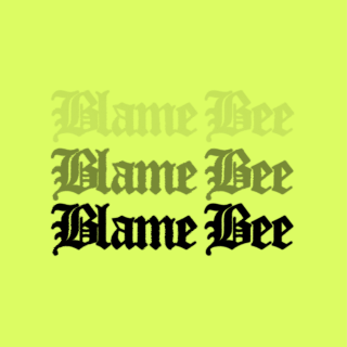 Profile picture for user blamebee