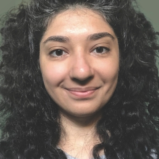 Profile picture for user Tekle Mamaladze