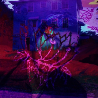 Profile picture for user Jakob A St Onge