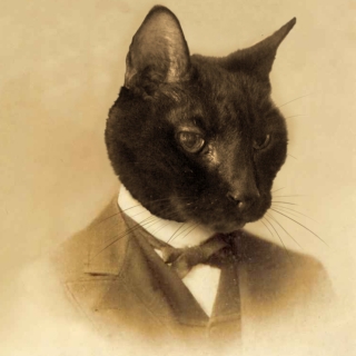 Profile picture for user aceandson