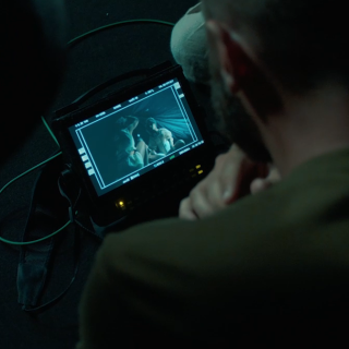 Profile picture for user Vittorio Guidotti