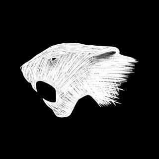 Profile picture for user Jaguar Teeth