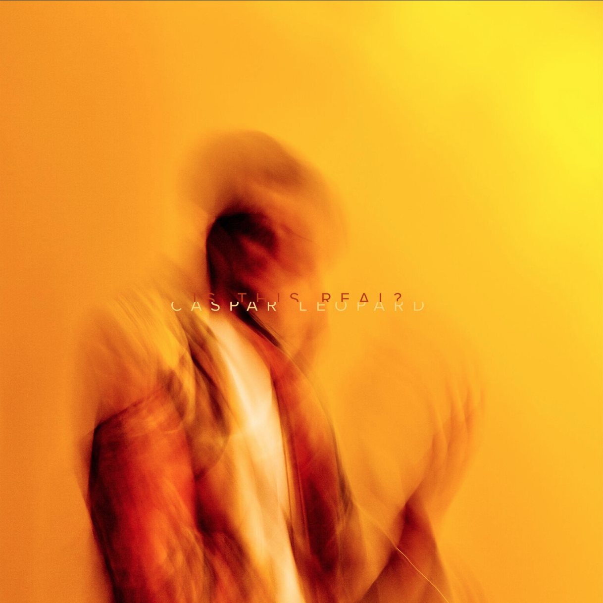 Photography for Caspar Leopard by JC VERONA