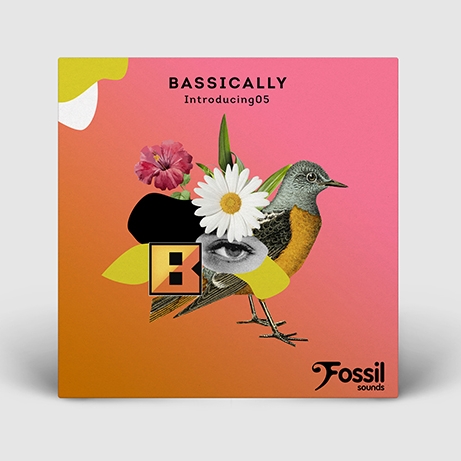 Artwork for Fossil Sounds by florgutman