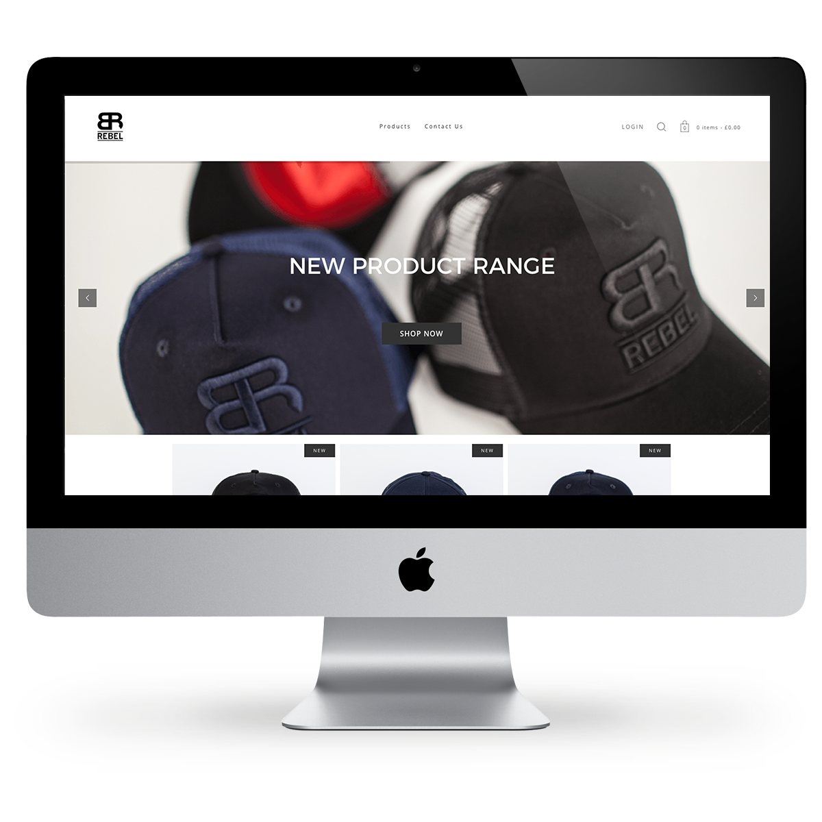 Website for by Mr Ryan