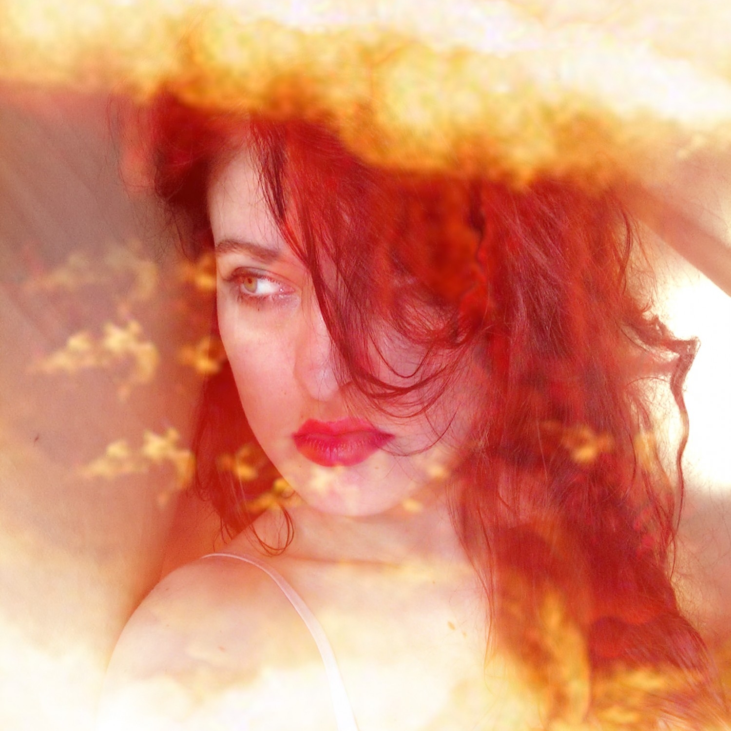 Photography for by PurpleHurricane