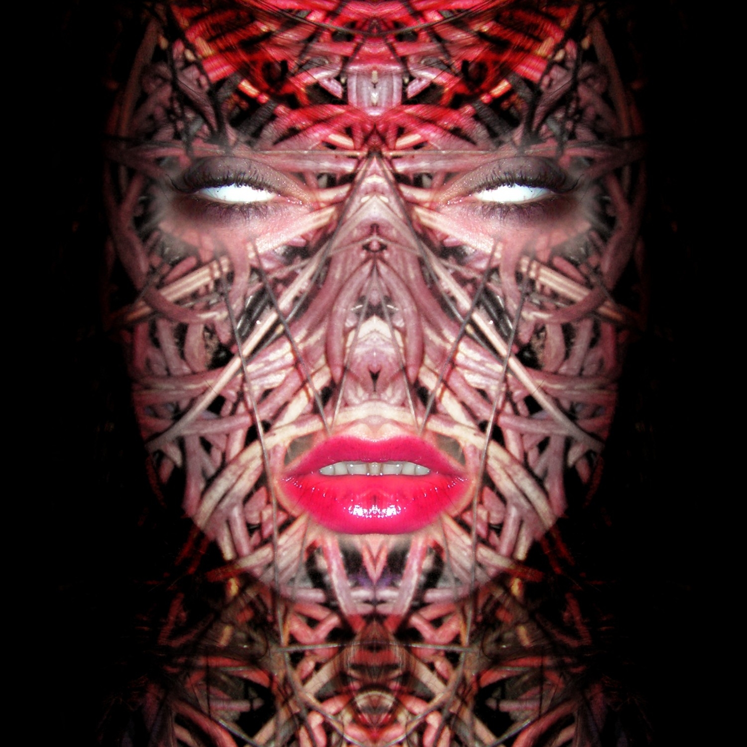 Photography for by PurpleHurricane