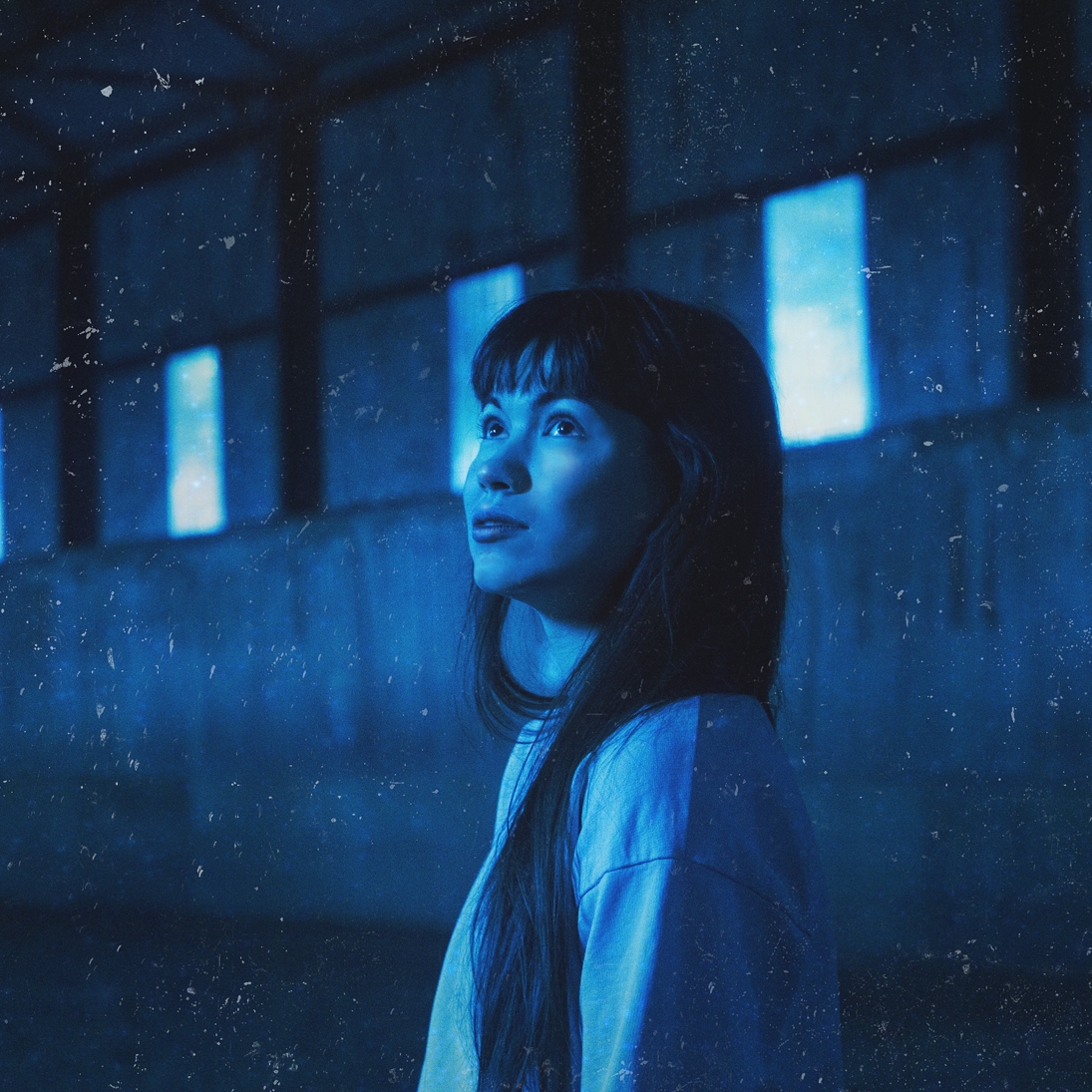 Photography for Dog In The Snow by evabowan