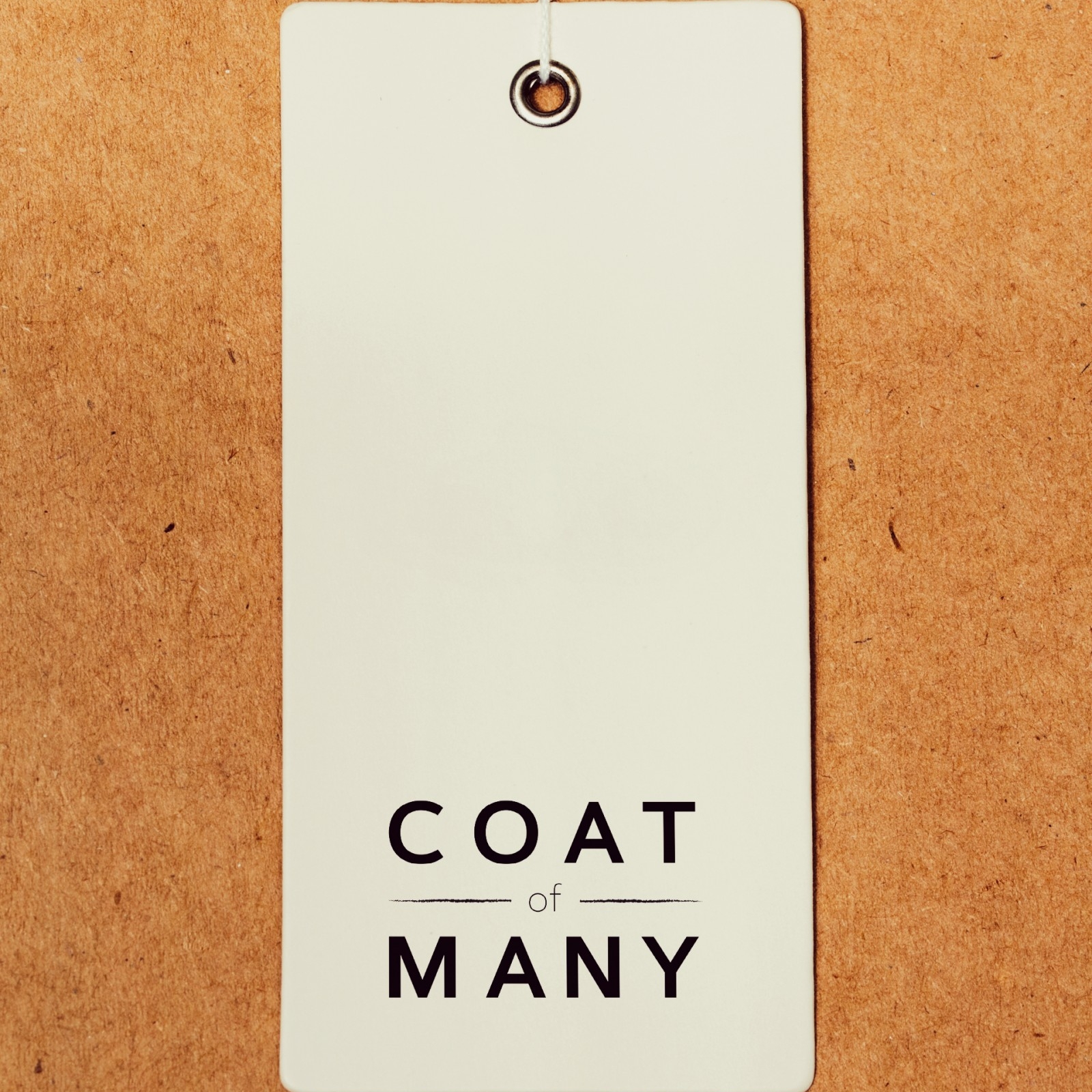 Branding for Coat of Many by James Delin