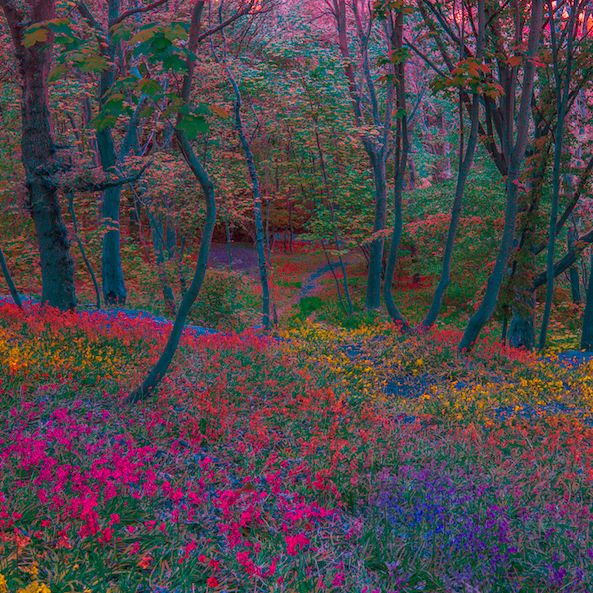 Photography for by GabrielleSalonga