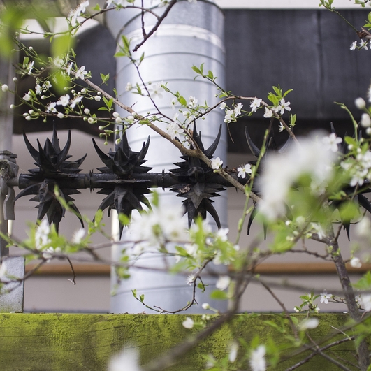 Photography for by BBP