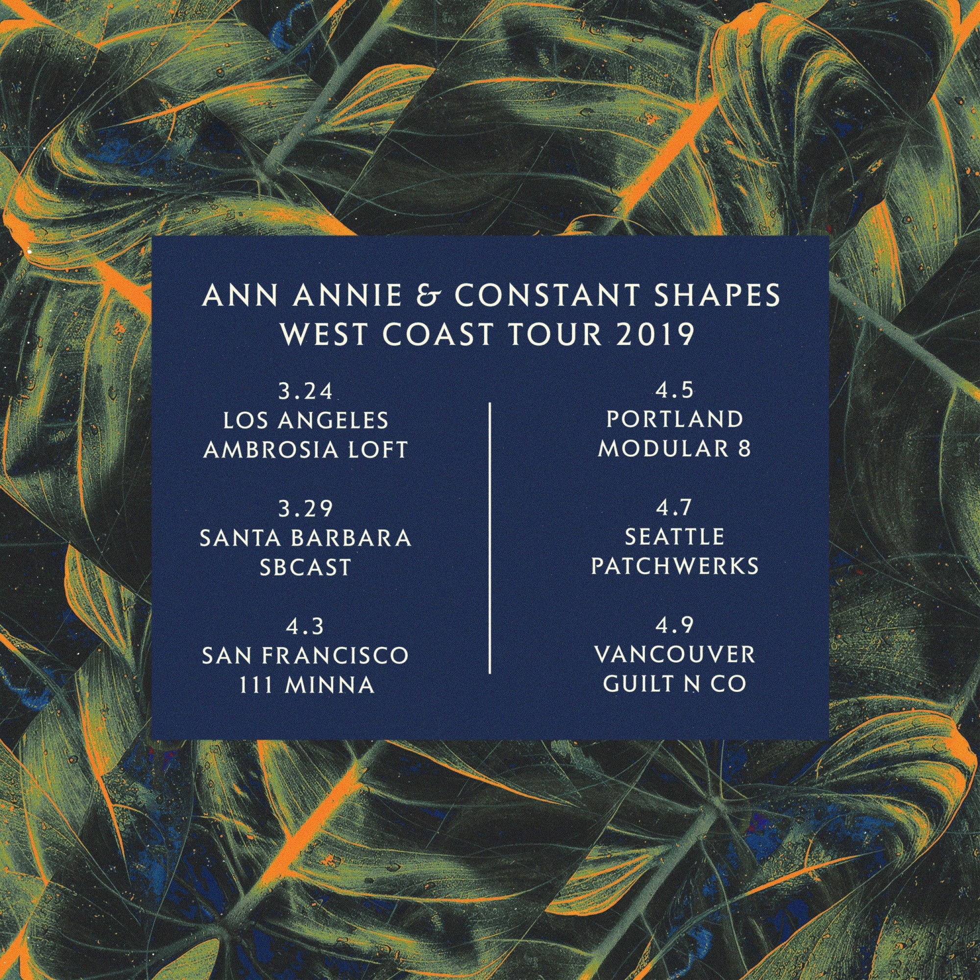 Ann Annie & Constant Shapes Tour Poster