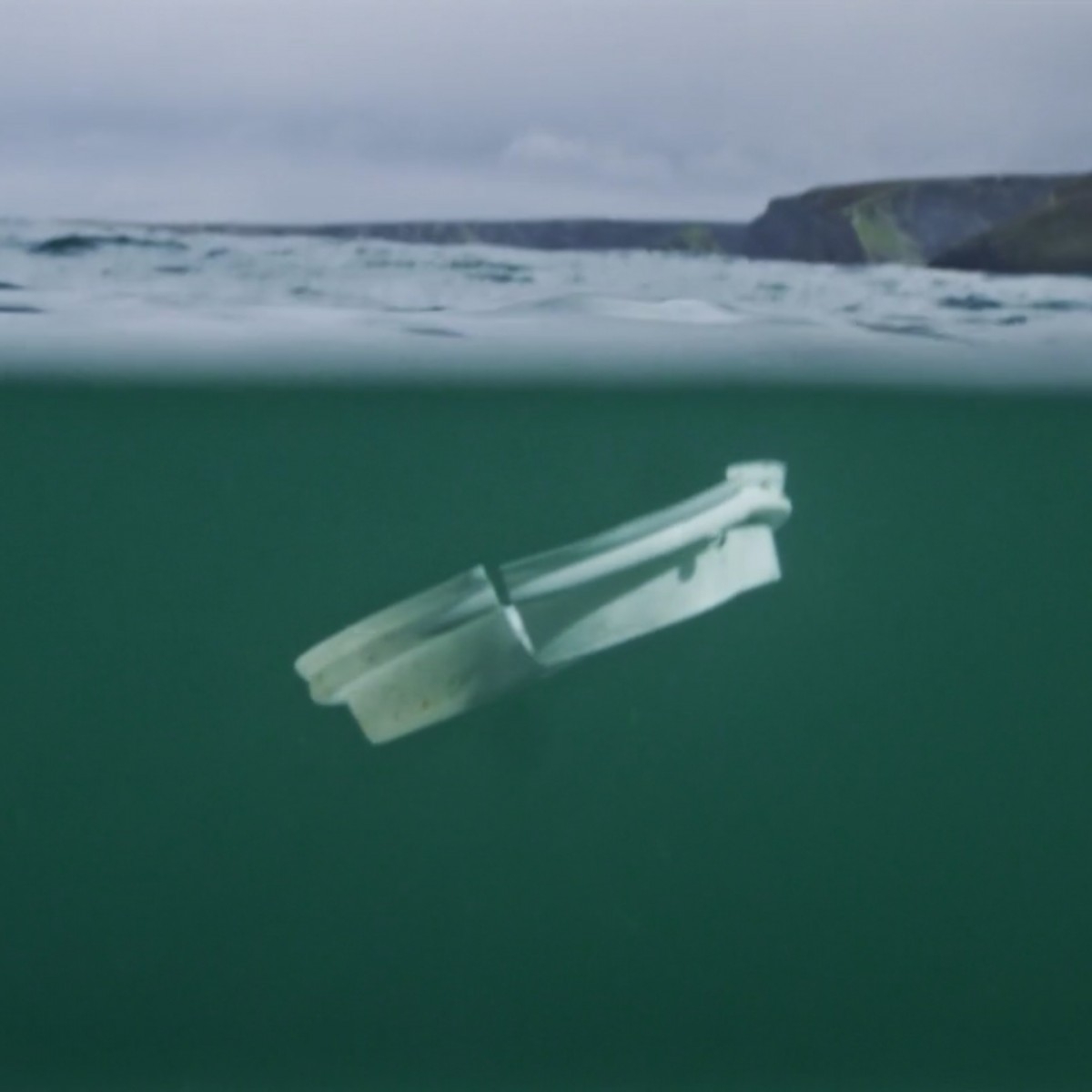 Surfers Against Sewage 1x1.jpg