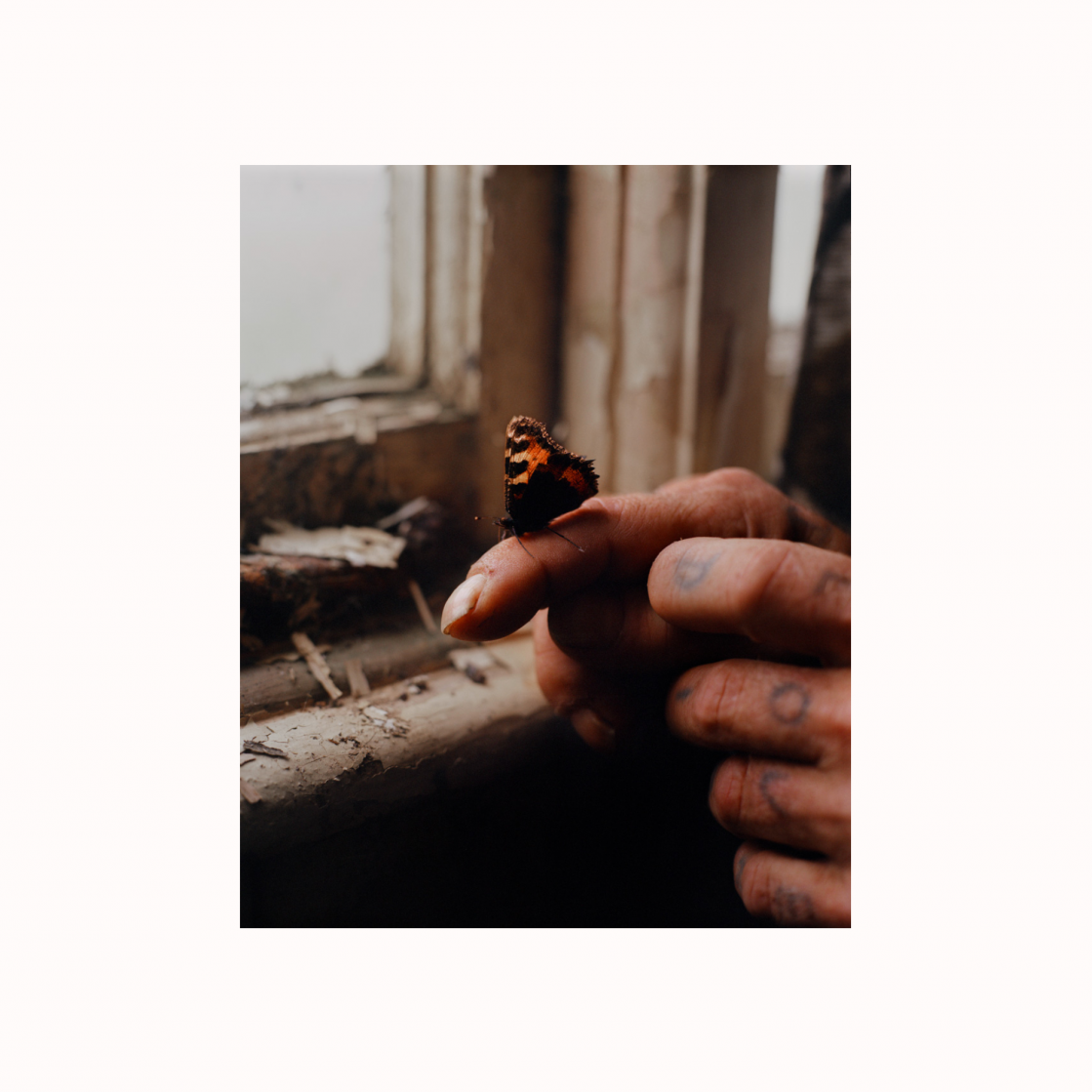 Screenshot 2021-02-10 at 16.45.31.png