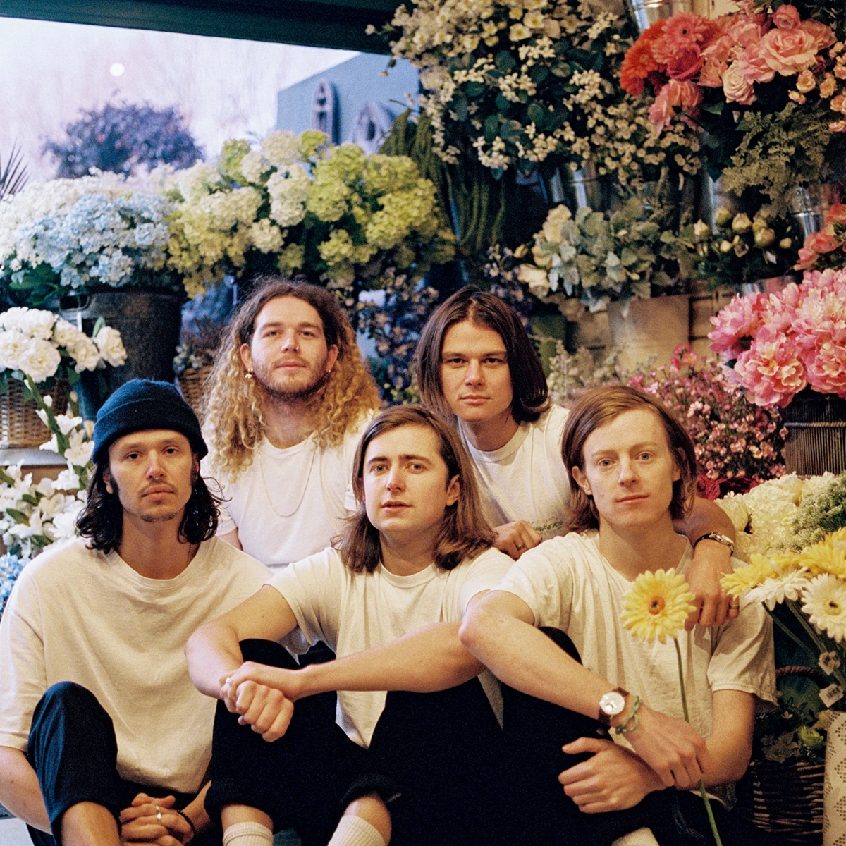 The Shakers Project Picture 2.jpg