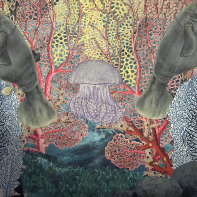 Music video for Diving At Dawn by Oriane Rondeau