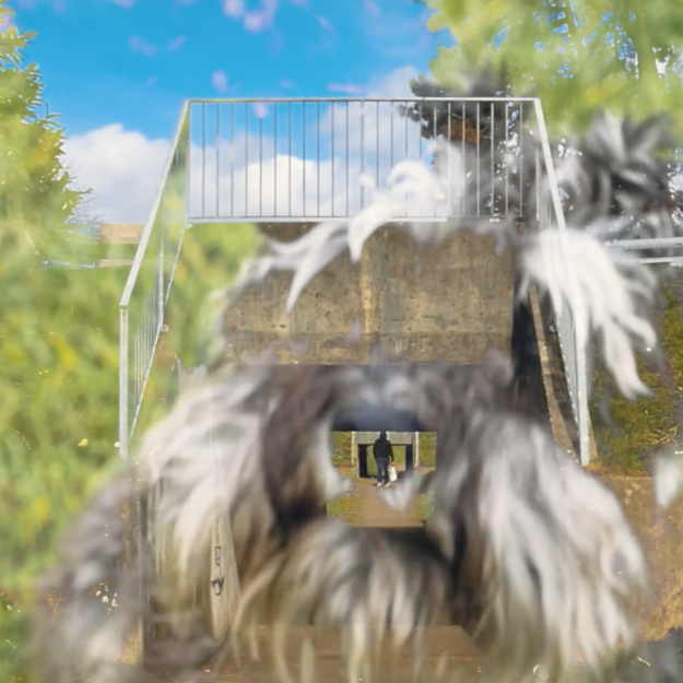 The Dog, Group Listening