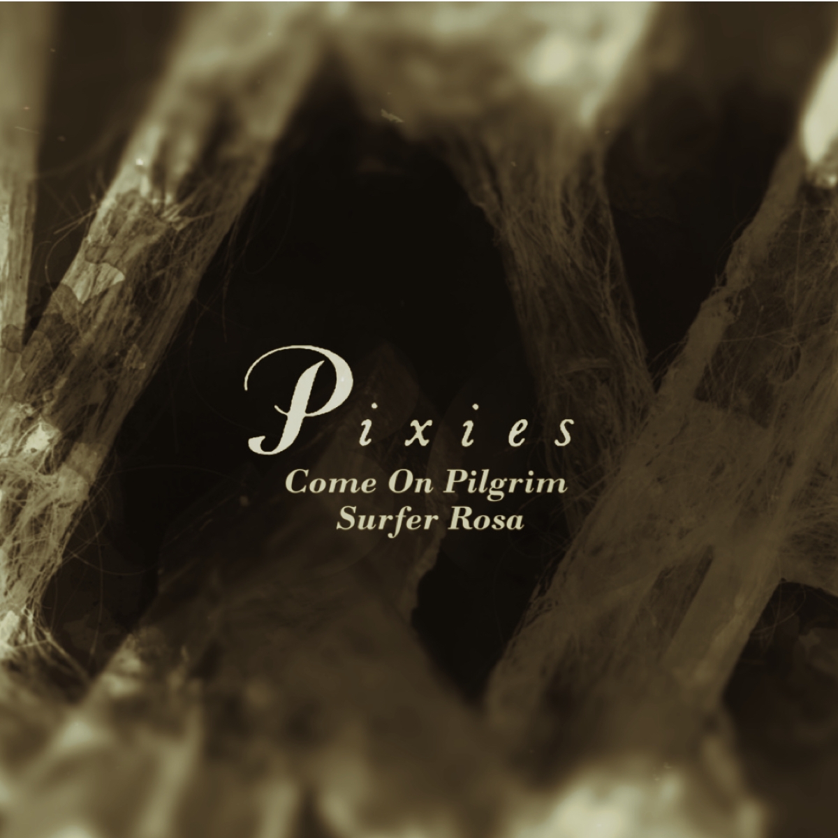 Animation for Pixies by Vidanoise