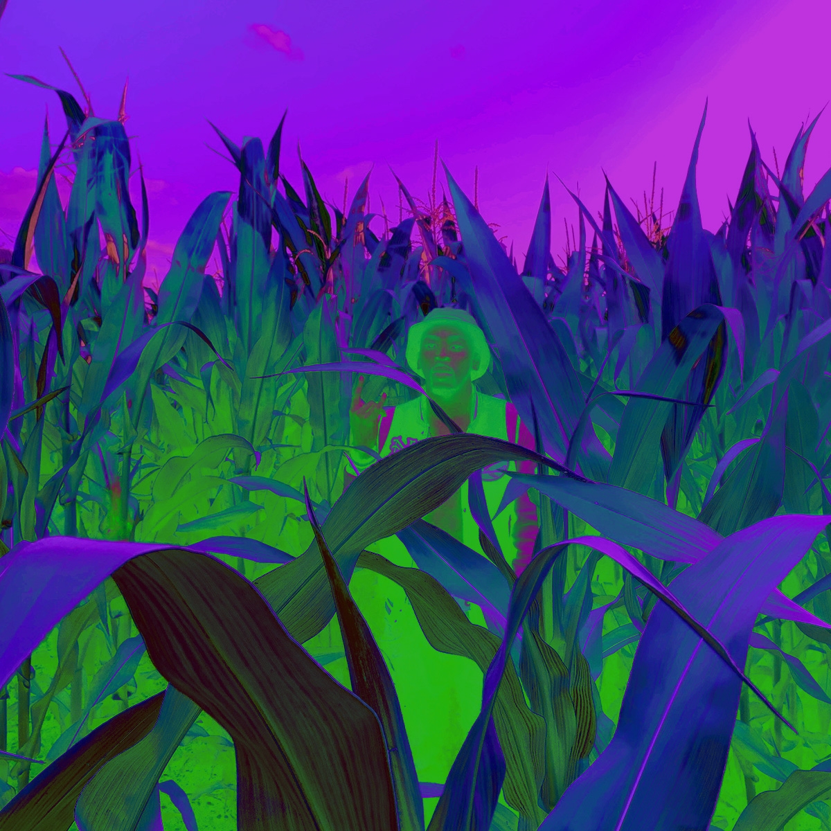 Video Production for E.T