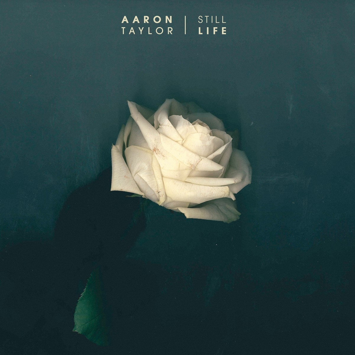 Aaron Taylor - Still Life Cover Art & Press Shots