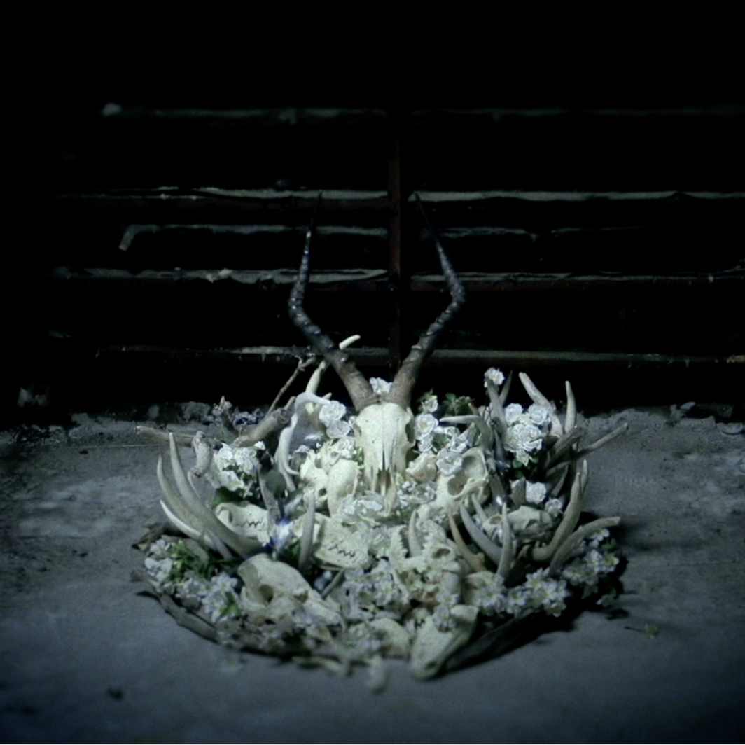 Soundgarden - King Animal