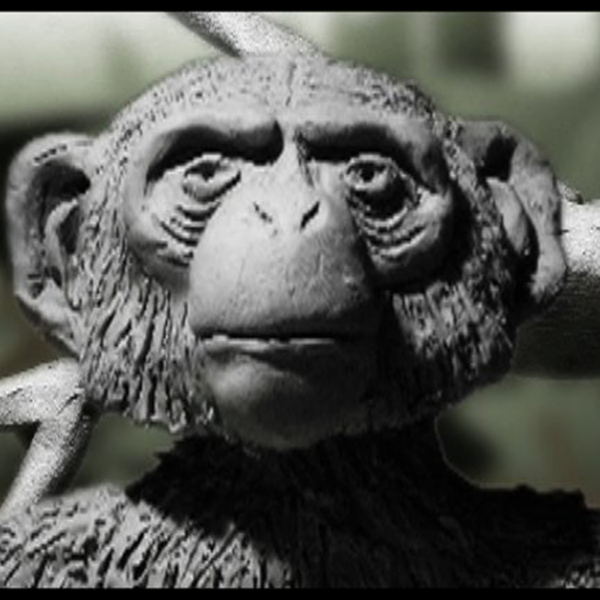 Turin Brakes 'Sea Change'