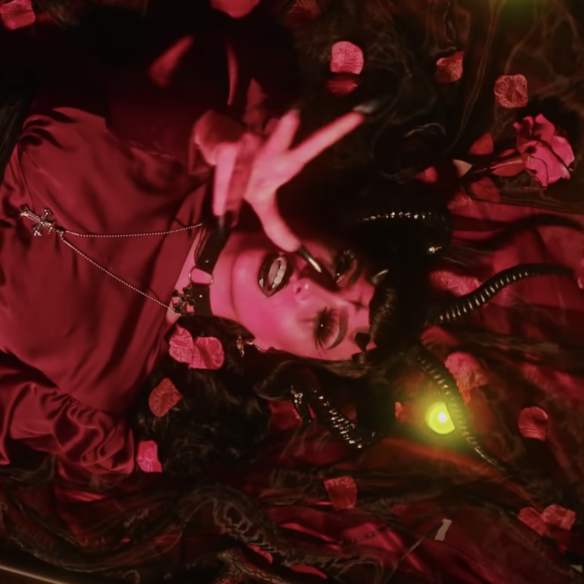 ABBY ROBERTS PROMO SHOOT