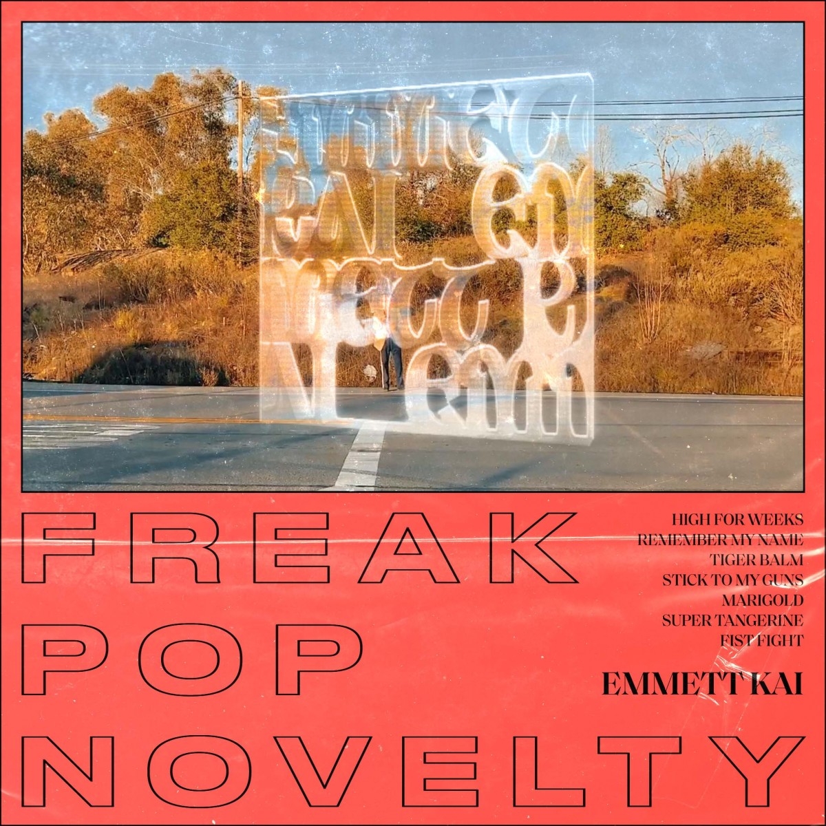 FREAK POP NOVELTY